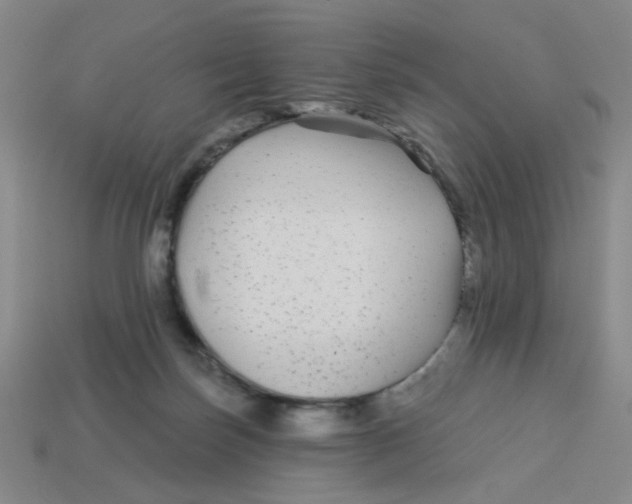 X0000113530171200910161357