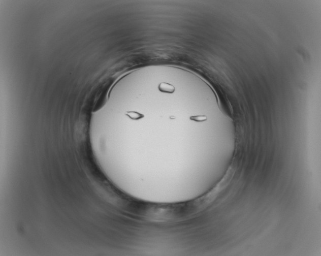 X0000113530174200910161357