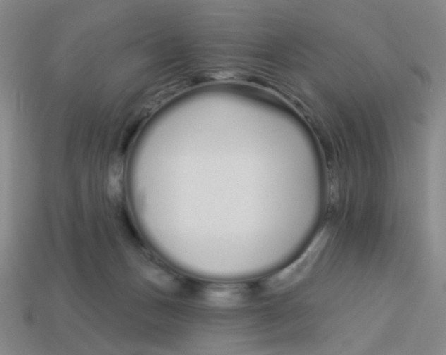 X0000113530175200910161357