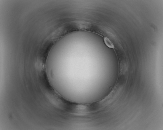 X0000113530176200910161357