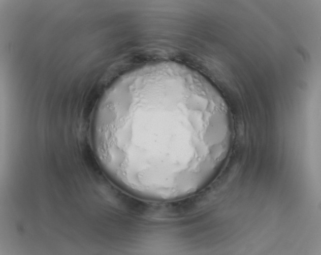 X0000113530177200910161357