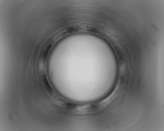 X0000113530178200910161357