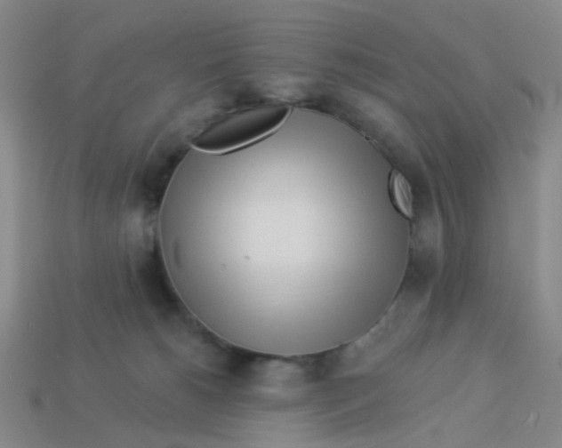 X0000113530180200910161357