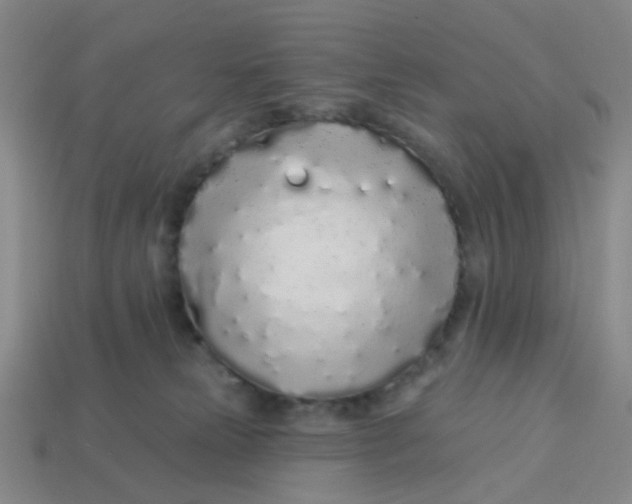 X0000113530181200910161357