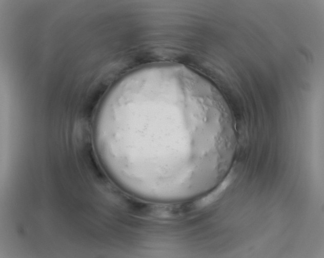 X0000113530182200910161357