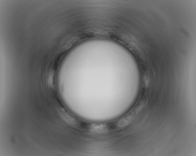 X0000113530185200910161357