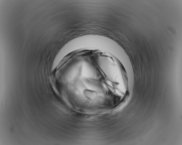 X0000113530186200910161357