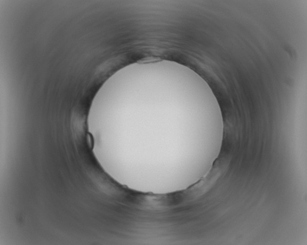 X0000113530188200910161357