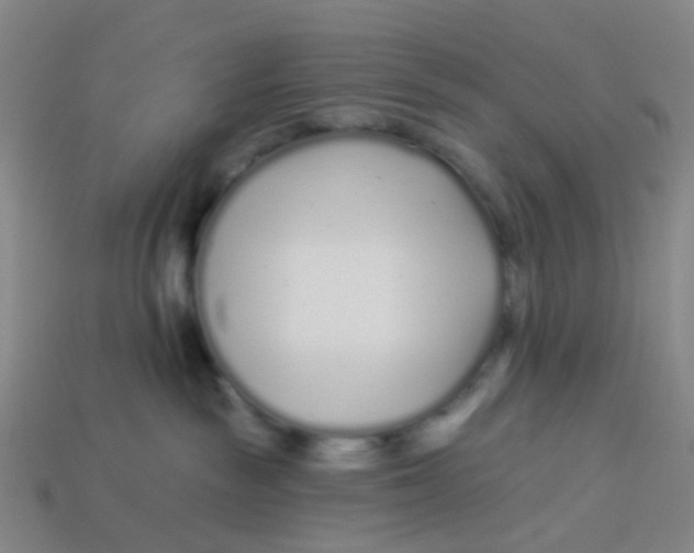 X0000113530189200910161358