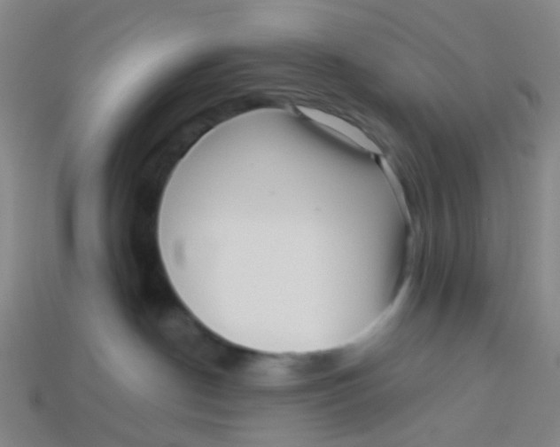 X0000113530190200910161358