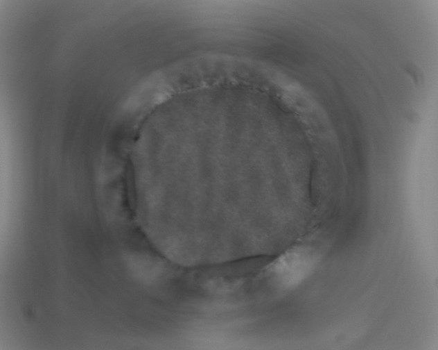 X0000113530192200910161358