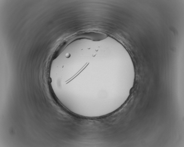 X0000113530193200910161357