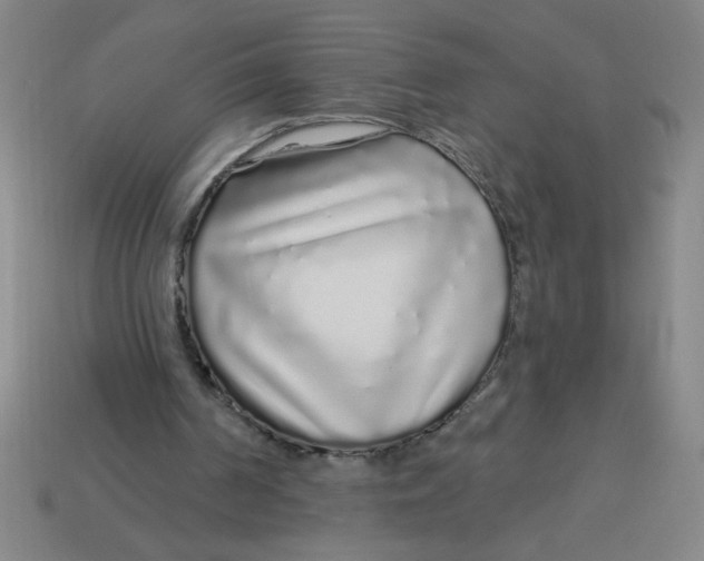 X0000113530194200910161357