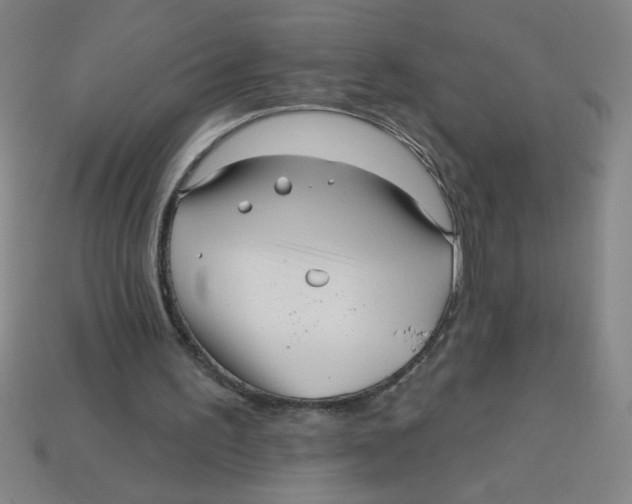 X0000113530195200910161357