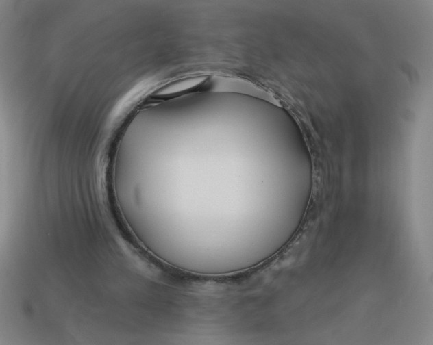 X0000113530197200910161357