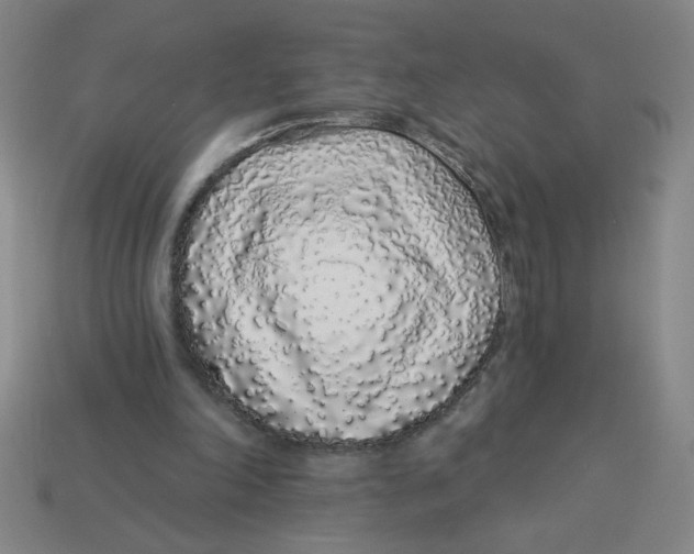 X0000113530198200910161357