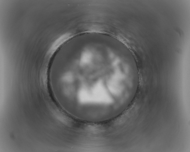 X0000113530199200910161357