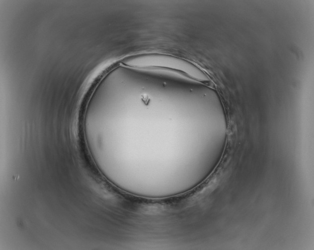 X0000113530200200910161357