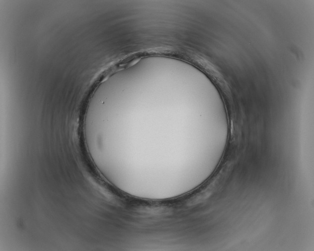 X0000113530201200910161357