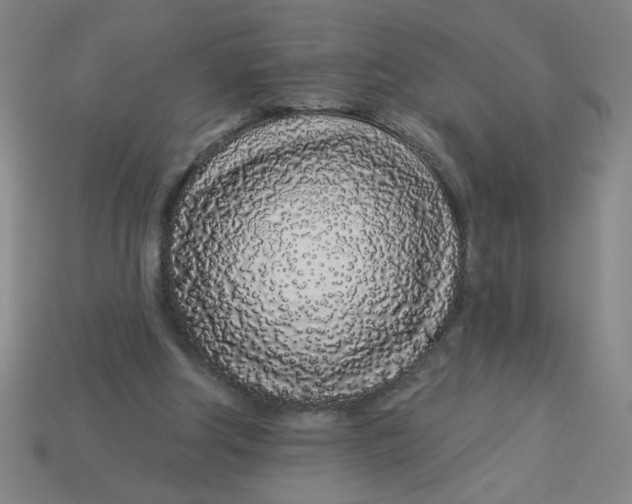 X0000113530202200910161357