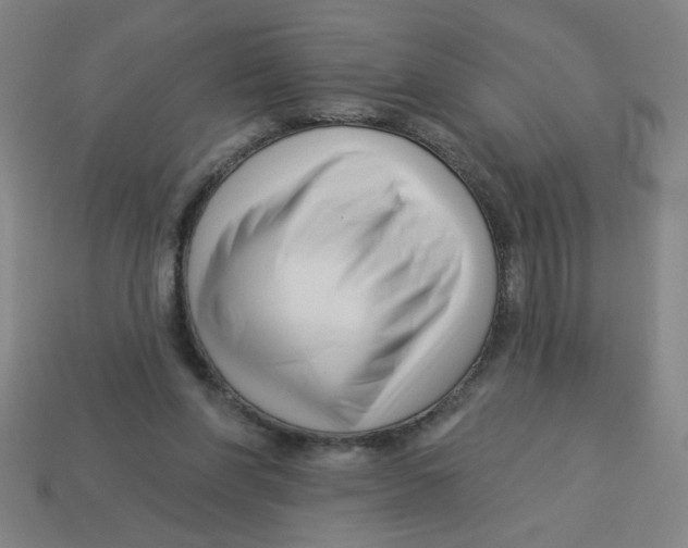 X0000113530206200910161357