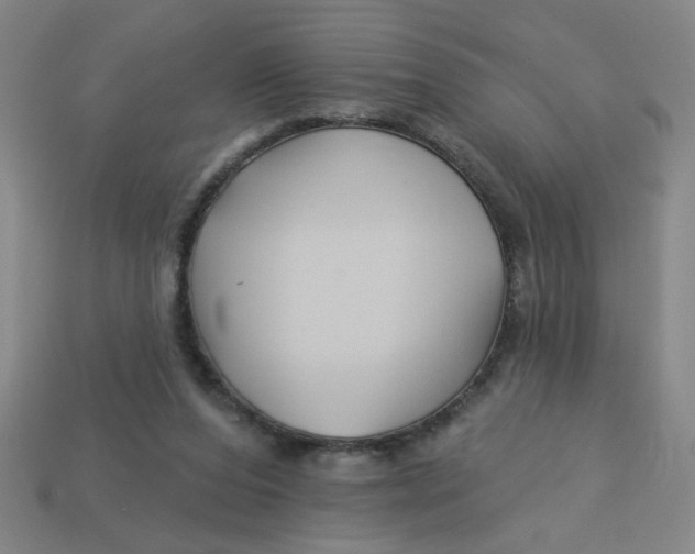 X0000113530208200910161357