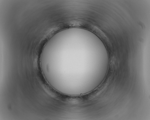 X0000113530209200910161357