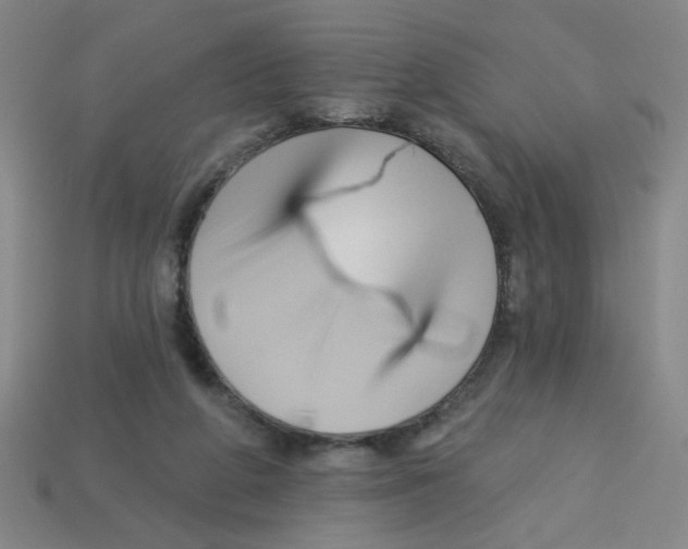 X0000113530210200910161357