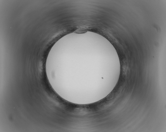 X0000113530211200910161357