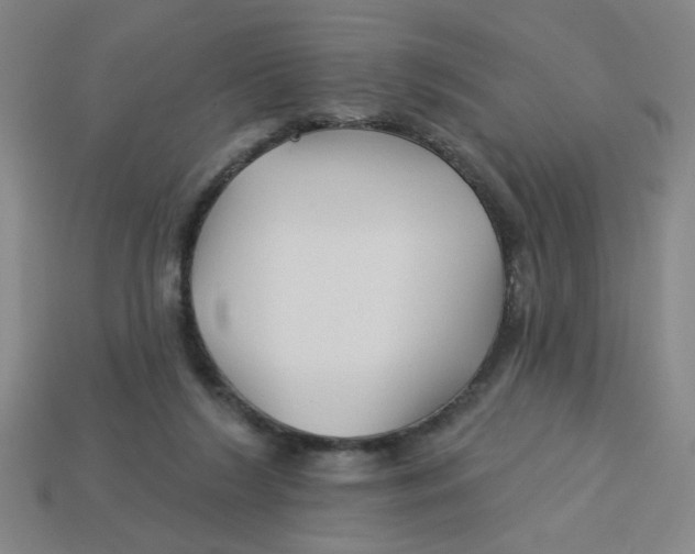 X0000113530212200910161357