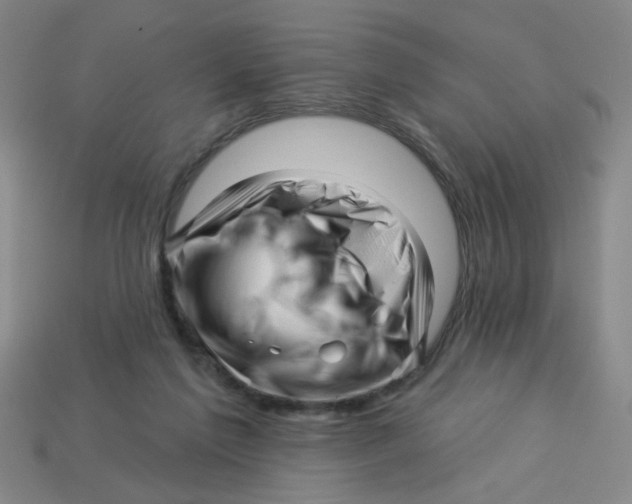 X0000113530213200910161357