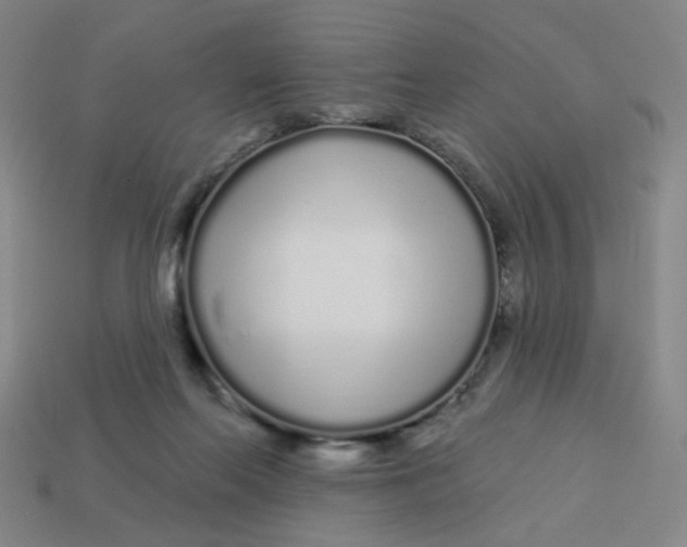 X0000113530214200910161357