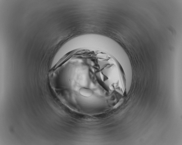 X0000113530215200910161357