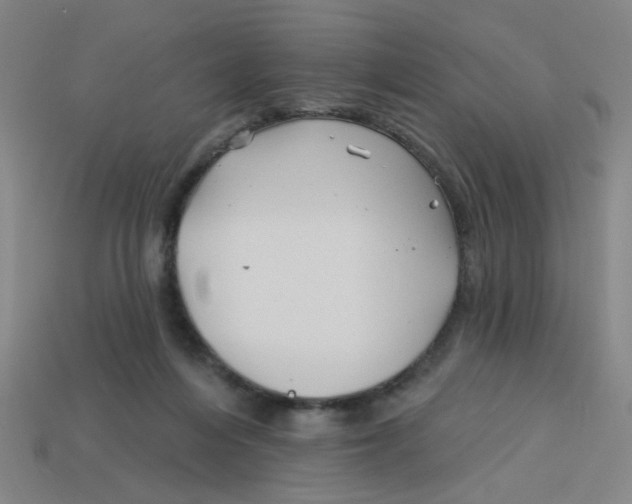 X0000113530216200910161357