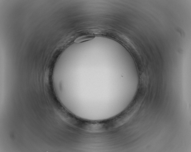 X0000113530217200910161357