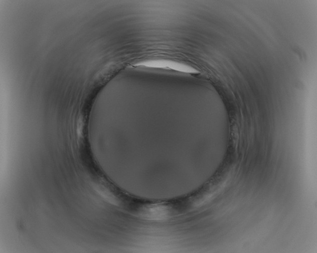 X0000113530219200910161357