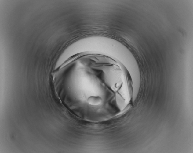 X0000113530221200910161357