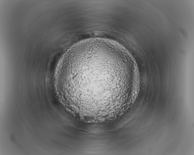 X0000113530222200910161357