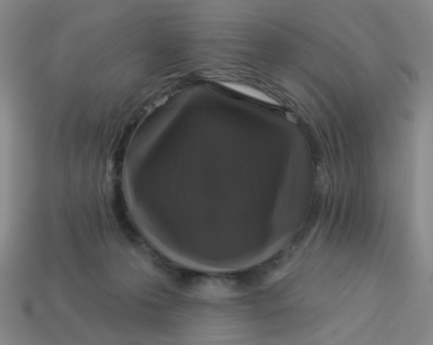 X0000113530223200910161357