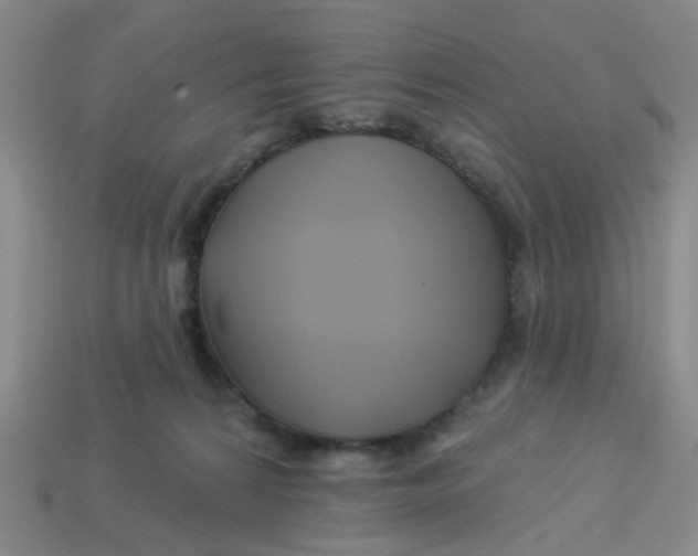 X0000113530224200910161357