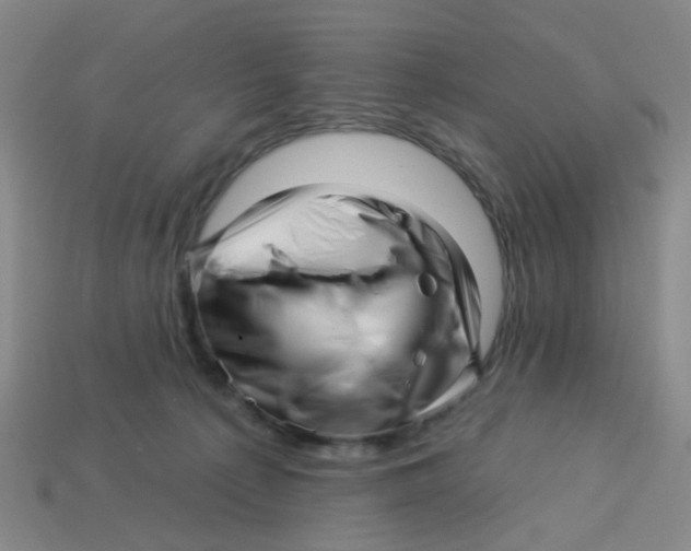 X0000113530225200910161357