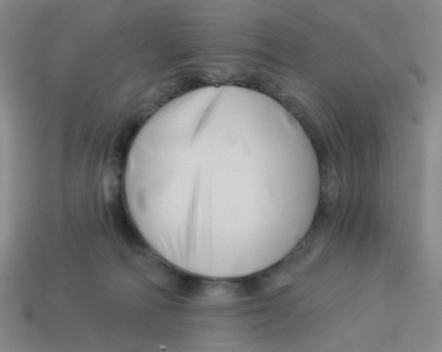 X0000113530226200910161357