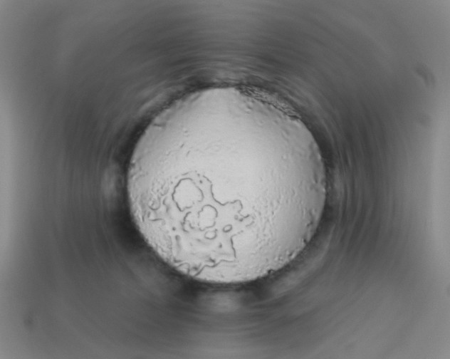 X0000113530228200910161356