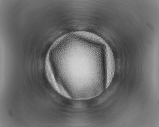 X0000113530230200910161356