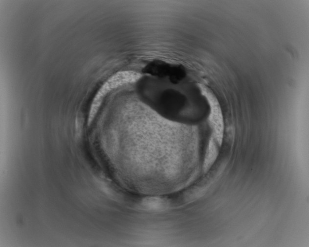 X0000113530231200910161356