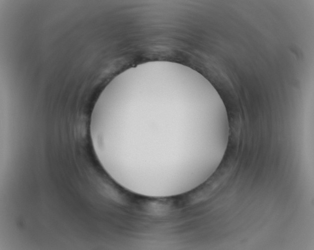 X0000113530232200910161356