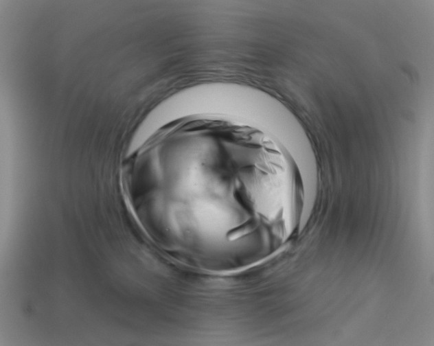 X0000113530233200910161356