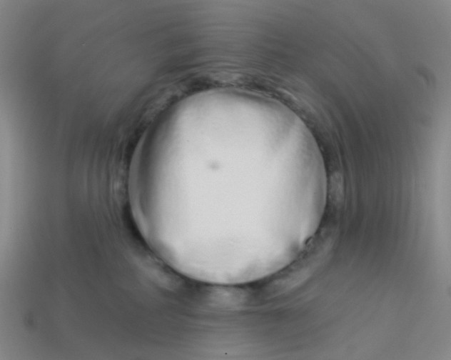 X0000113530234200910161356