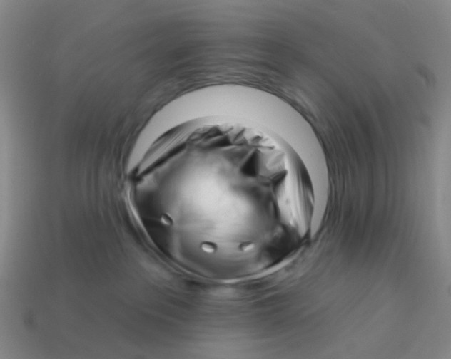 X0000113530237200910161356