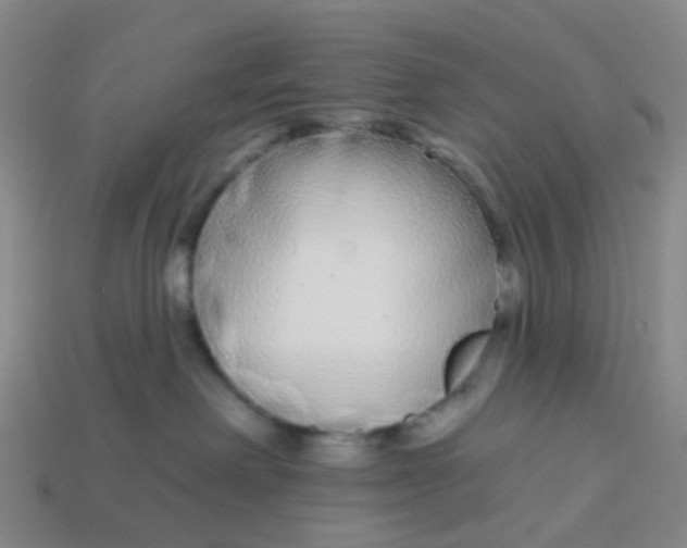 X0000113530238200910161356